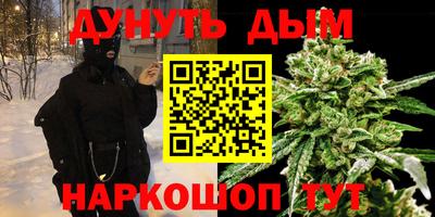 дживик Бийск