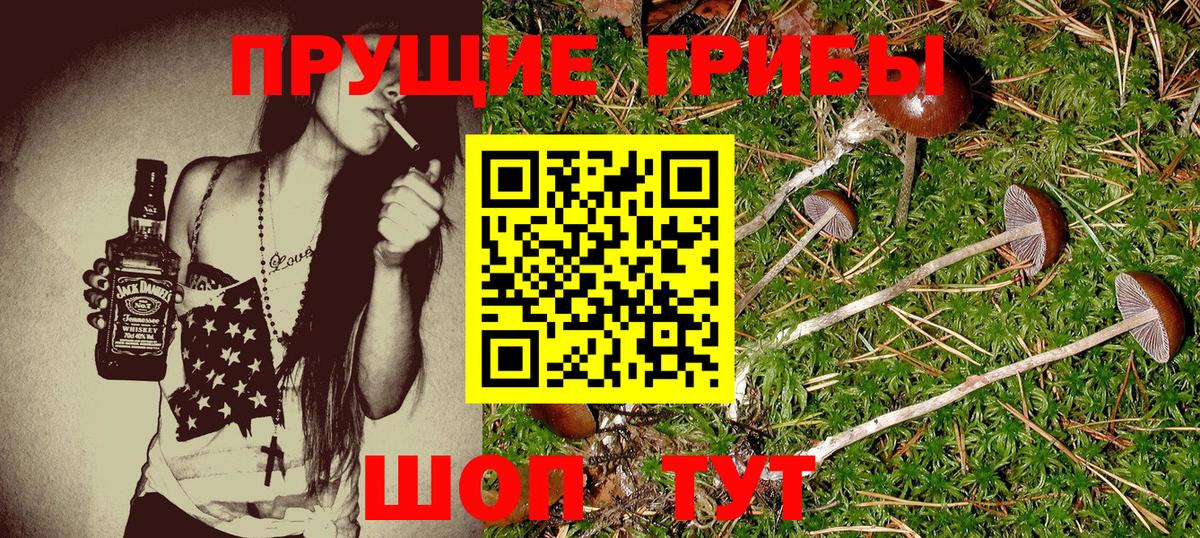 Галлюциногенные грибы мицелий  Богородск 